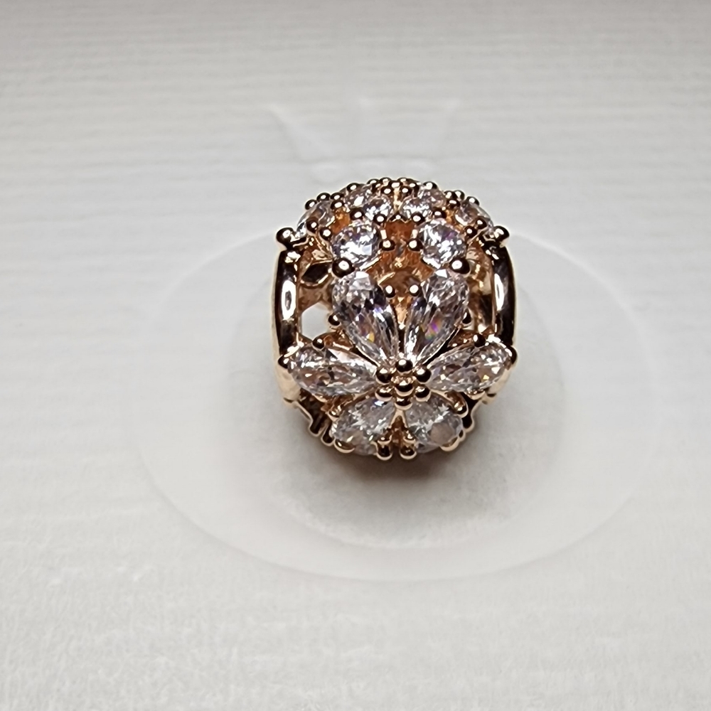 Pandora Sparkling Herbarium Cluster Round Charm - Picture 3 of 15